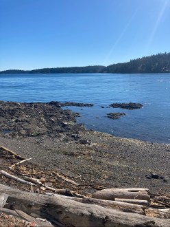 62310086436__CEE365CC-386F-4A8F-AAF6-7E0BB1110871