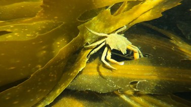 p.producta on bottom